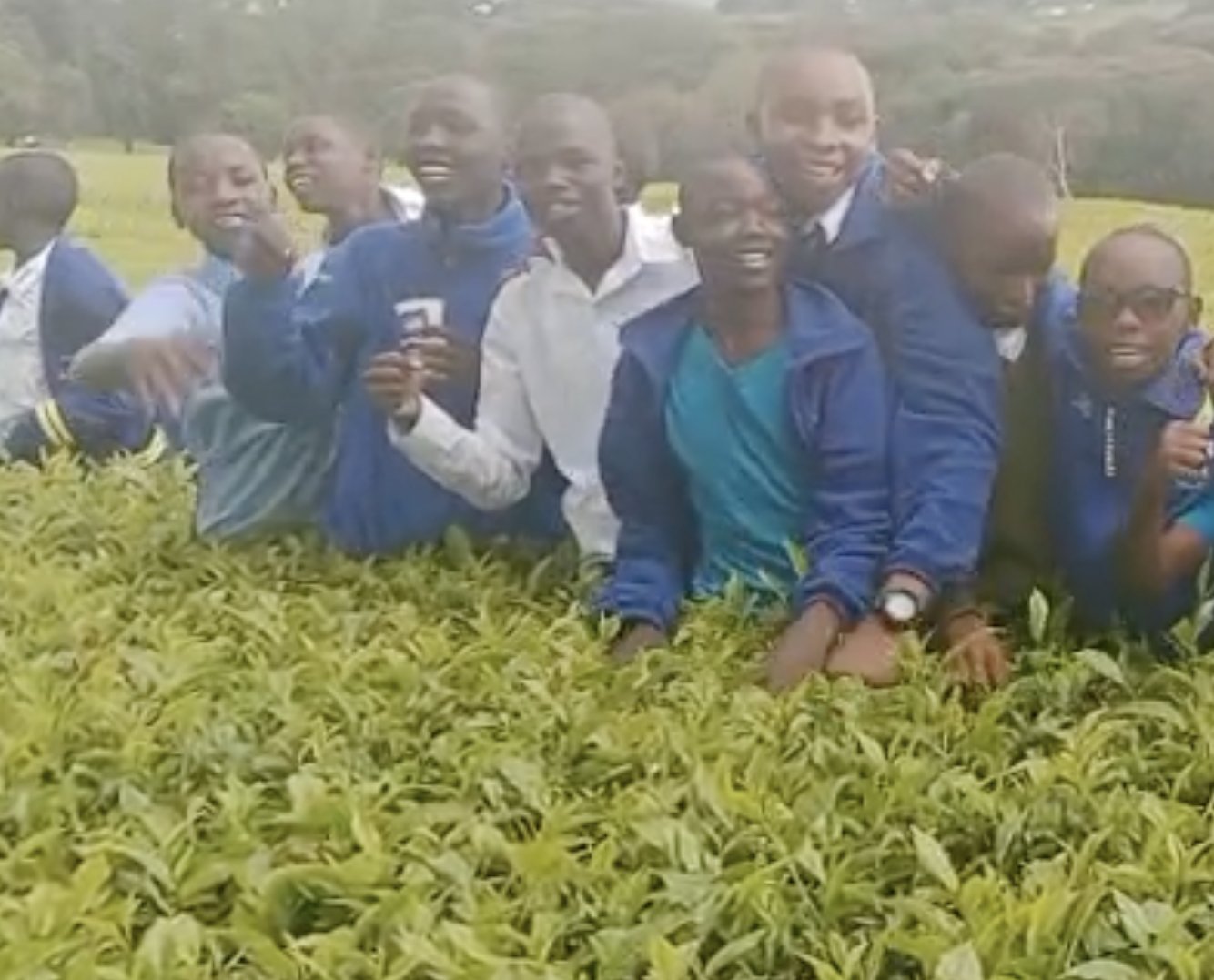 Smiling students standing shoulder-deep among tea bushes in Kericho County