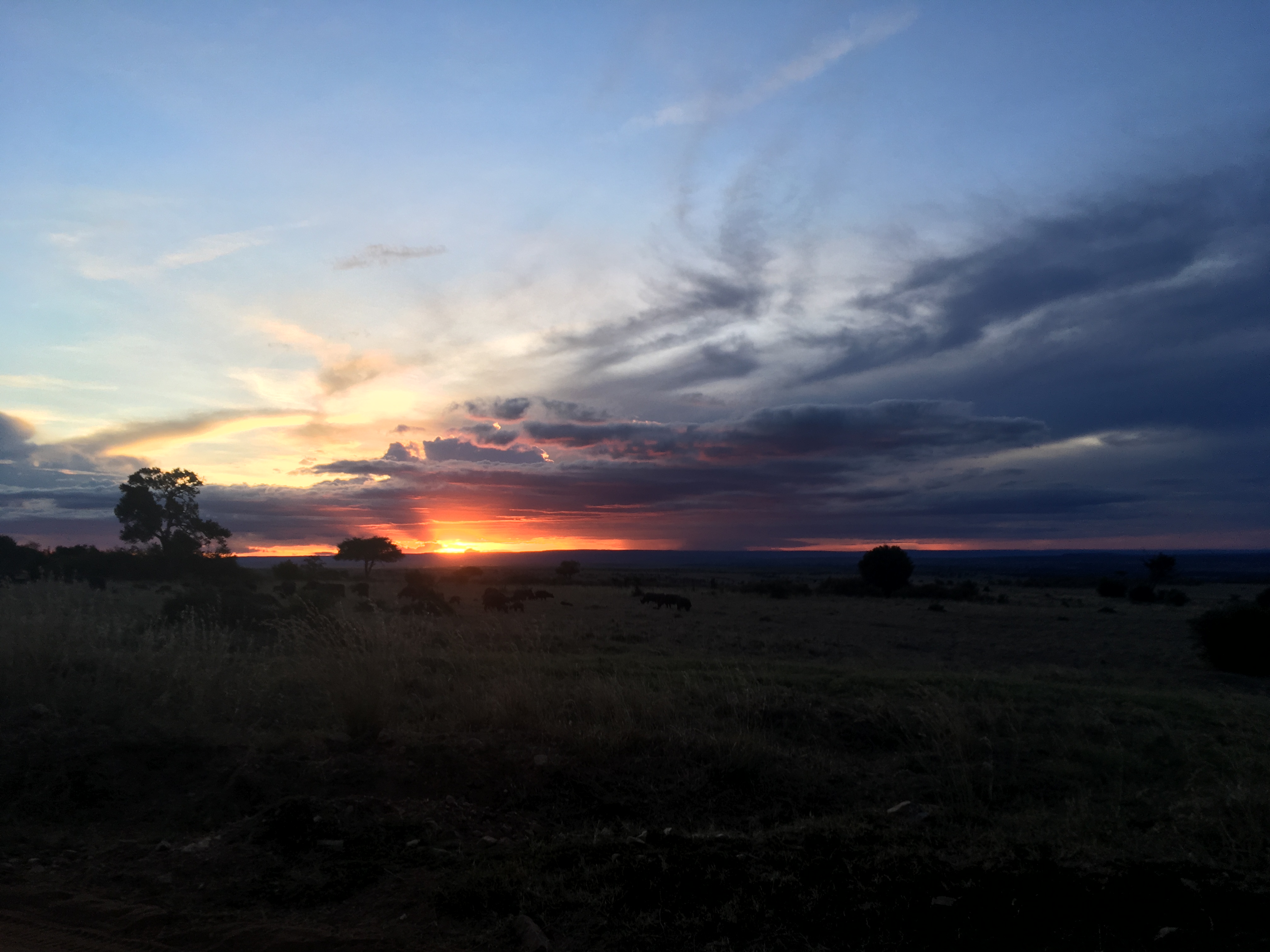 Coronavirus in Kenya